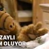 "Alf" film oluyor
