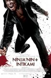 Ninja’nın İntikamı
