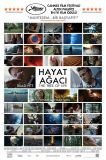 Hayat Ağacı