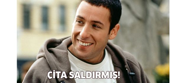 Çita saldırısına uğramış!