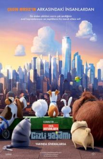 Evcil Hayvanların Gizli Yaşamı