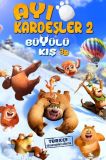 Ayı Kardeşler: Büyülü Kış
