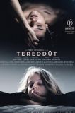 Tereddüt