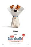 Evcil Hayvanların Gizli Yaşamı 2