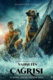 Vahşetin Çağrısı