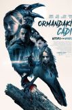 Ormandaki Cadı