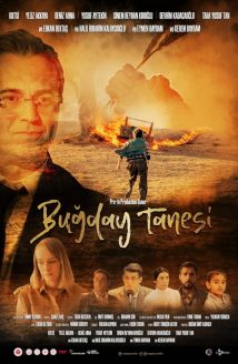 Buğday Tanesi