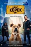 Dikkat Köpek Var