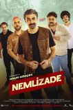 Nemlizade