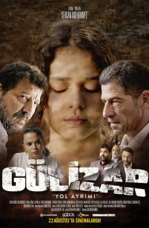 Gülizar Yol Ayrımı