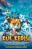 Kül Kedisi