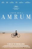 Amrum