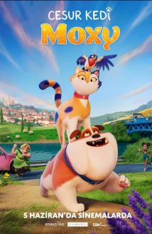 Cesur Kedi Moxy