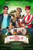 Sihirli Hayvanlar Okulu