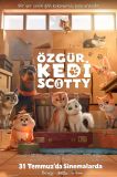 Özgür Kedi Scotty