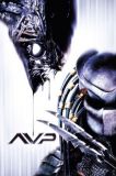 Alien Predator’a Karşı