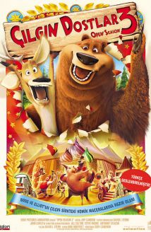 Çılgın Dostlar 3